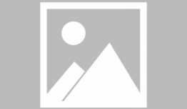 麻豆杨,时尚界的璀璨新星